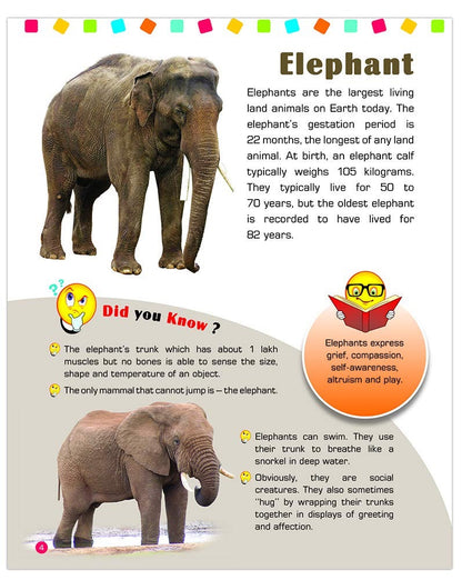 Vy/What about animals ?